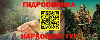 2c-b Мариинск