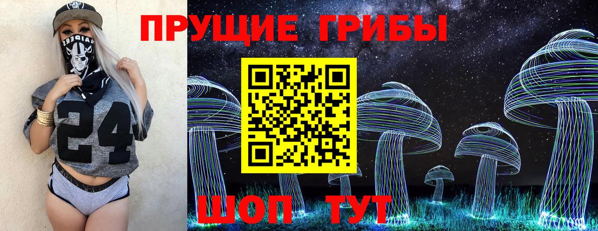Галлюциногенные грибы Magic Shrooms  Вход с VPN  Псилоцибиновые грибы GOLDEN TEACHER  Ессентуки 