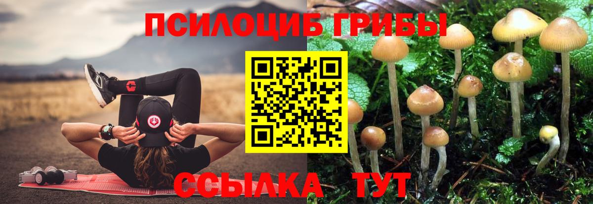Галлюциногенные грибы ЛСД Ессентуки